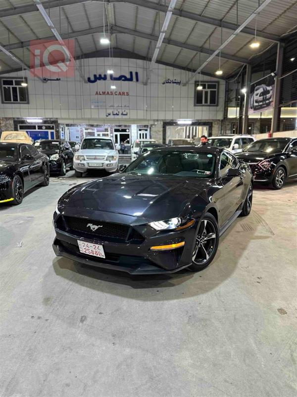 Ford for sale in Iraq